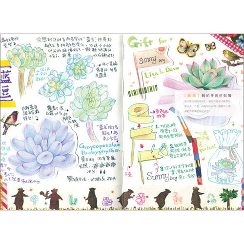 1,2,3照着画就行:色铅笔画多肉 365天萌萌哒简笔画 从0学画铅笔画