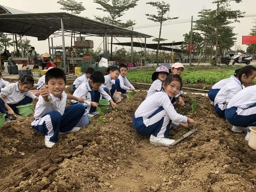 石岐中心小学二(6)班伟丰生态农场研学之旅——"感受民俗文化体验农耕