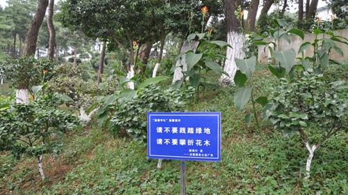 请不要践踏绿地请不要攀折花木