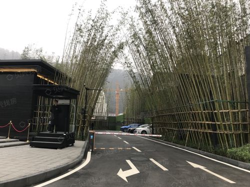 山晓相册