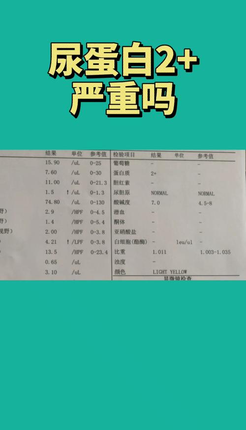 尿蛋白2 严重吗?_健康知识科普_医疗健康_医疗健康其他