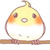 卡通玄凤鹦鹉头像_微信头像图片大全