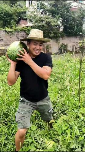 来吧展示 冒着雨采摘西瓜,没想到这位兄弟比我还会演!