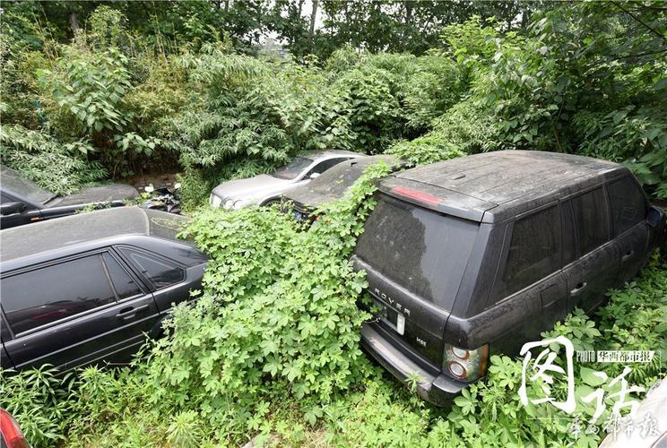 成都一停车场现"僵尸豪车"宾利长草