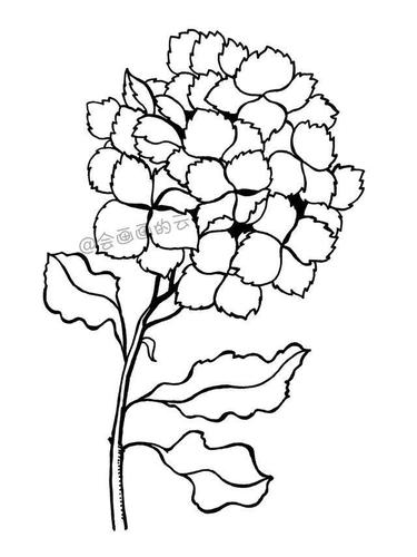零基础的小白也可以画的简笔画,教你用1支笔画一簇花