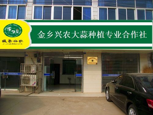 金乡兴农大蒜种植专业合作社