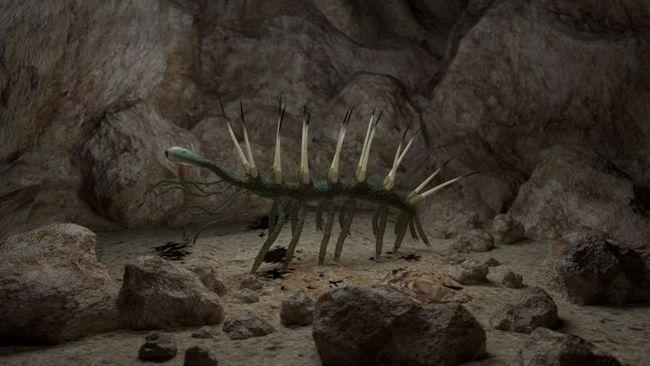 第一代地球霸主-奇虾及寒武纪典型生物简介