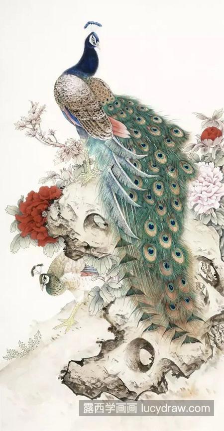 孔雀工笔画步骤有几步?