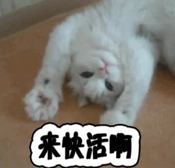 来快活啊