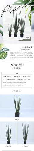 北欧风仿真蛇草 仿真绿植盆栽 仿真蛇尾草 绿色植物