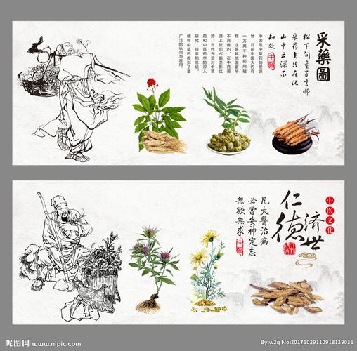 中医文化 传统中医图片