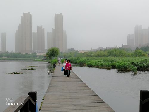 游大连湿地公园,东港