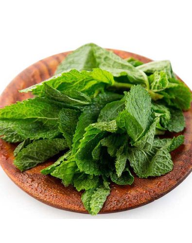 新鲜薄荷叶 留兰香薄荷 烘焙调酒用香草 可食用香草 250g