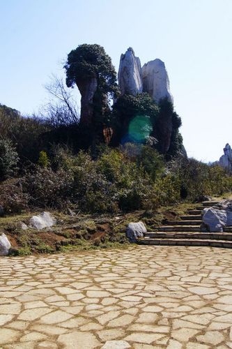 贵州屋脊→韭菜坪→"天上石林"风景照之二