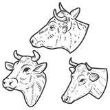 牛头侧面的简笔画