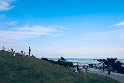 青岛小麦岛公园