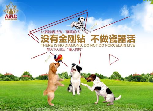 犬语者训犬师培训机构让你零风险做生意