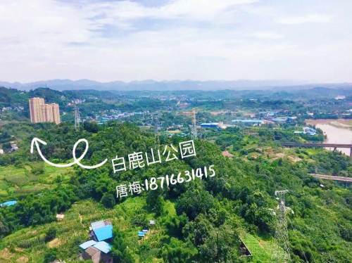 合川白鹿山七号81.17正宗3房2厅1卫