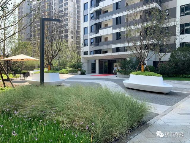 验房记丨白沙最贵小区交付,亚新紫藤公馆值得吗?