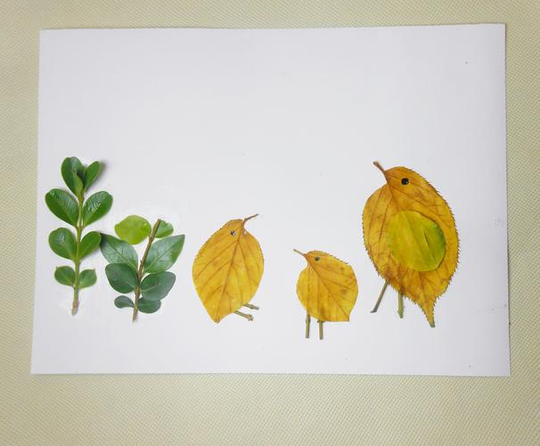 晒太阳的小鸟树叶拼画制作教程