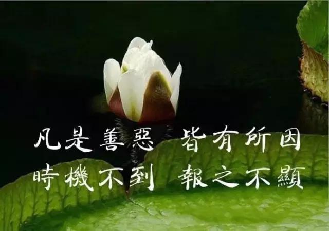 这正象中国人的一句老话说的那样"善有善报,恶有恶报;不是不报,时候