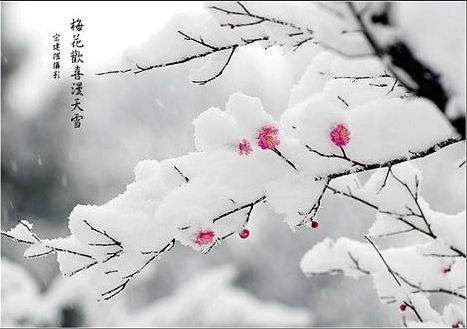 春雪