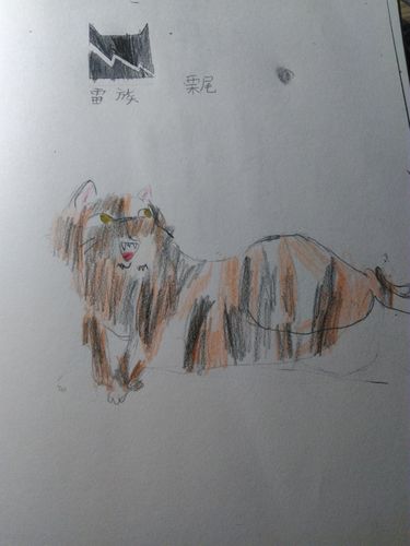 我画的猫武士里的栗尾