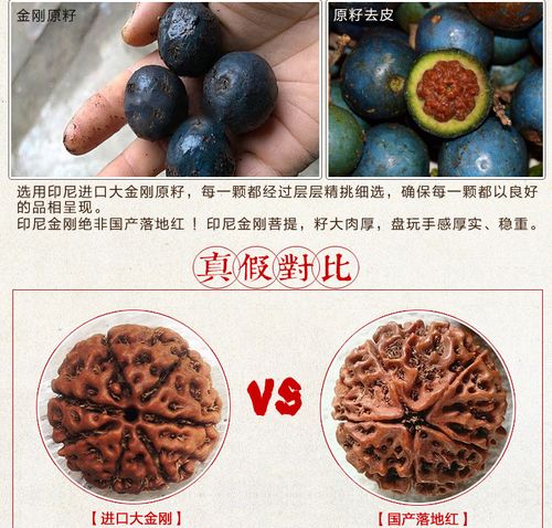 大神帮看看这是落地红还是金刚菩提子?