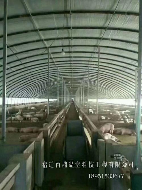 标准养殖大棚养殖大棚可以针对很多动物,如肉鸡,肉鸭,肉牛