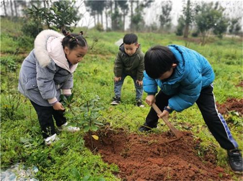 湘潭市岳塘区育才学校教育集团开展植树节活动