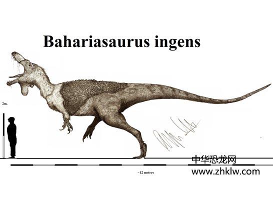 巴哈利亚龙:白垩纪肉食恐龙