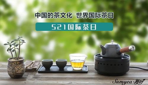 夏叶521国际茶日用科技为世界奉上一壶好茶