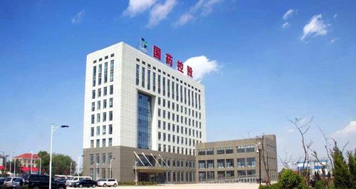 国药控股股份有限公司