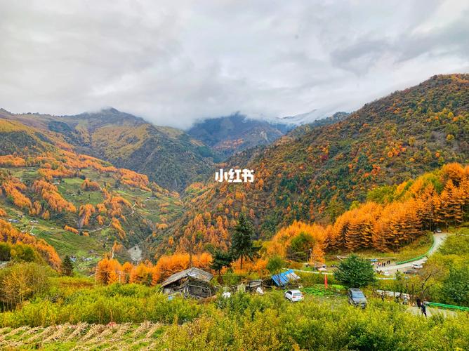 汶川甘海子_汶川_风景_干海子风景区自由行热门攻略_甘海子_童话世界