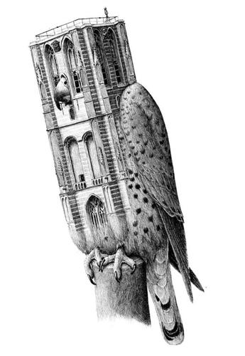 这样的素描才是真正的设计素描,创意素描就该这样画