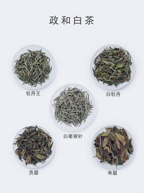 政和白茶试原产地白毫银针牡丹白牡丹贡眉寿眉新款白牡丹