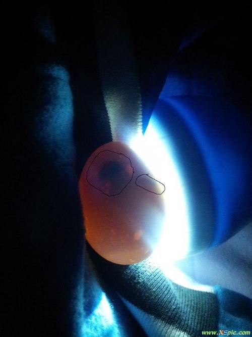 鸡蛋照蛋时蛋壳上有红色斑块