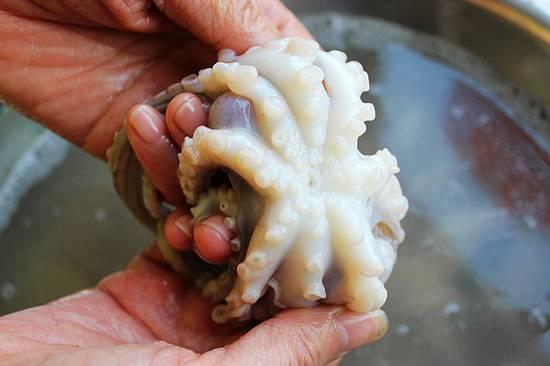 展开全部 章鱼的清洗顺序:八爪鱼放进水中清洗,剪开头部,去内脏,撕