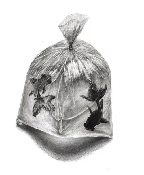 杭州画室2019年暑期班学员精微素描作品展