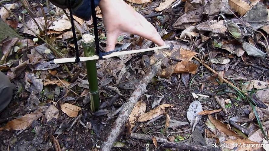 一种简单有效的荒野求生脖套陷阱