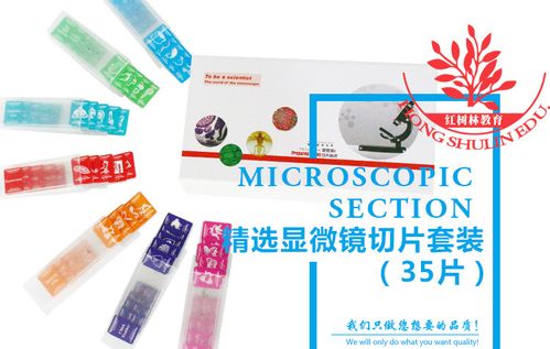爆款热销全新搭配内容清晰艳丽英文35种显微镜生物切片标本 套装
