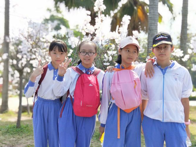 深圳市清林径实验小学学生校外研学课程纪行 - 美篇
