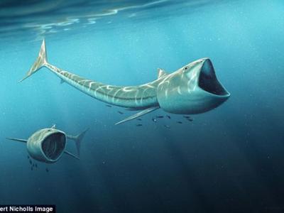 发现史前巨鱼新物种9200万年前白垩纪时代的巨嘴硬骨