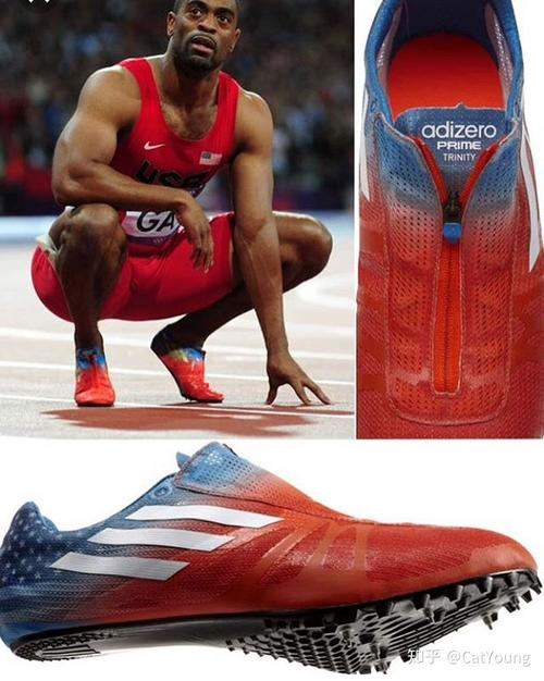 现在谢震业也穿着6钉钉鞋,也有横杠适合400的,代表选手包括范尼凯克