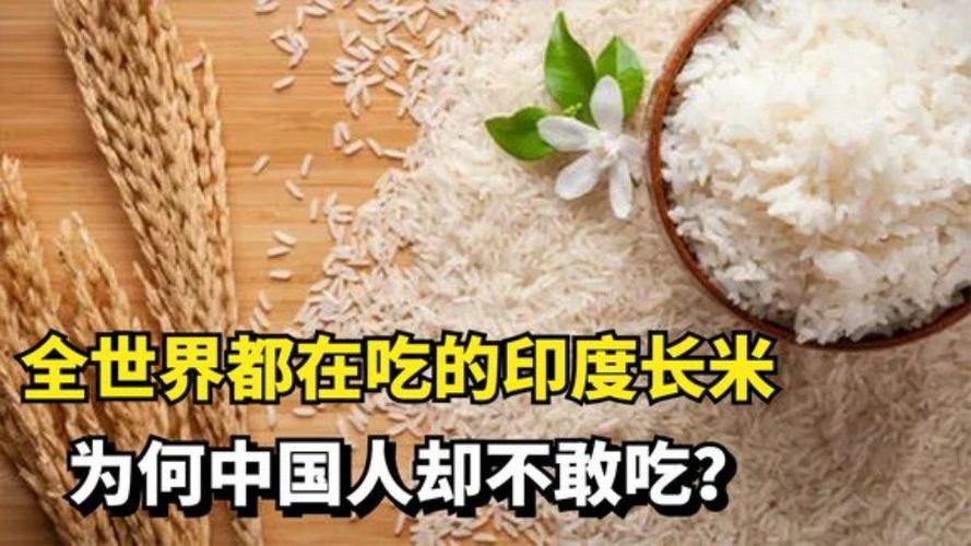 出口全世界的印度泰国长米我国怎么不引进种植看完涨知识了