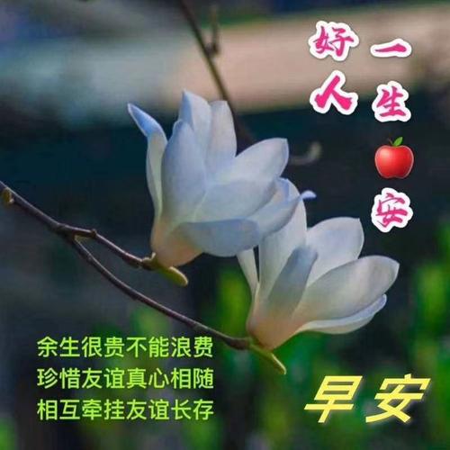 《早安心语》2020年11月10日