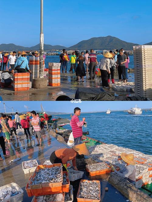 陵水海鲜|生活在陵水必去的新村海鲜码头_休闲玩乐_海鲜_陵水新村码头