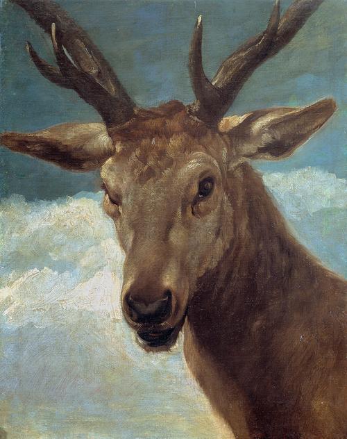 委拉斯开兹作品: 雄鹿头部 head of a stag