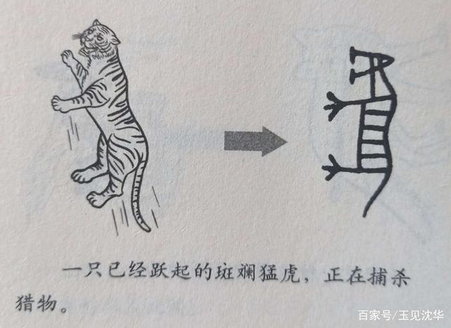 甲骨文中的"虎"字写法