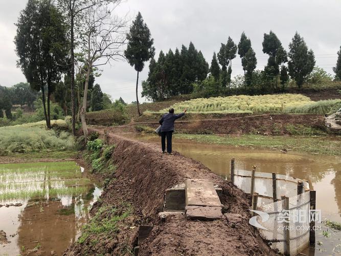 身残志坚的他,如今是雁江区小院镇的脱贫榜样.